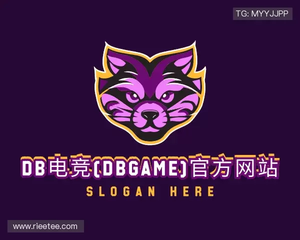 关于DB电竞